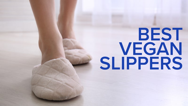 The 9 Best Vegan Slippers to Keep Your Feet Warm This Winter