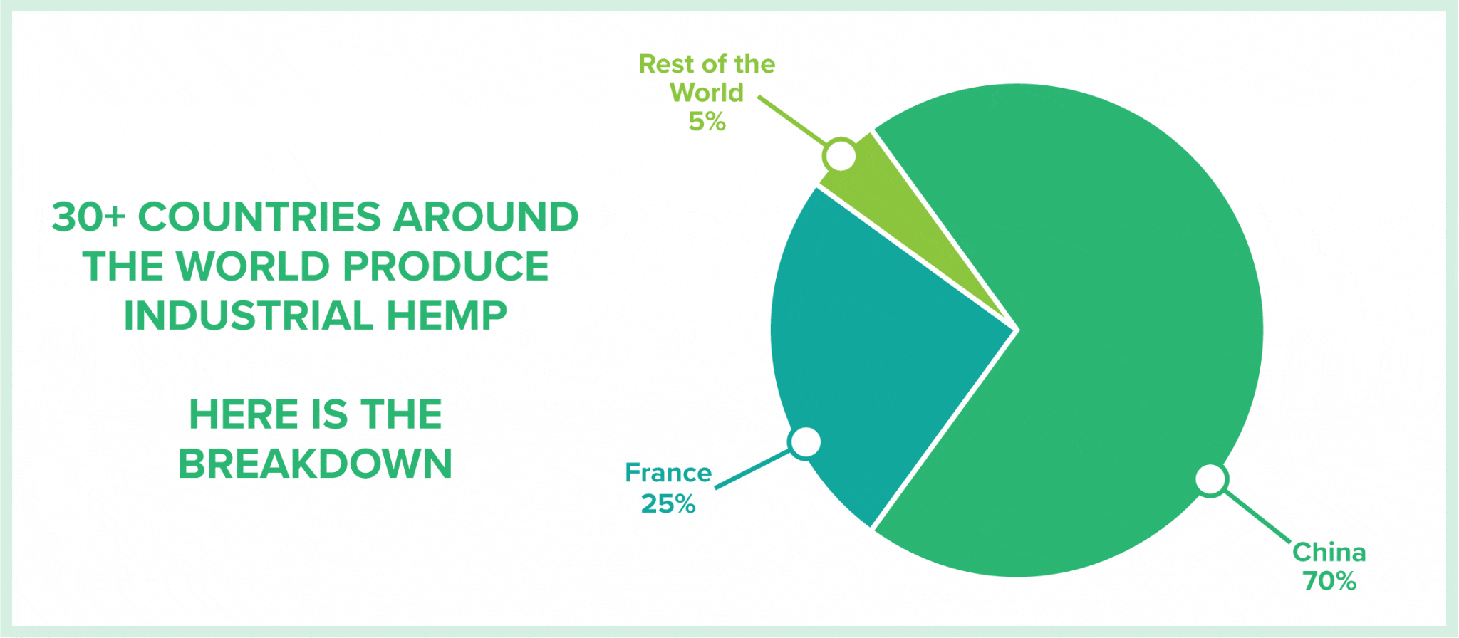 What Is Hemp Fabric And Is It Sustainable? - Econosa