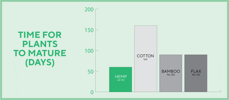 Hemp plant growth - days