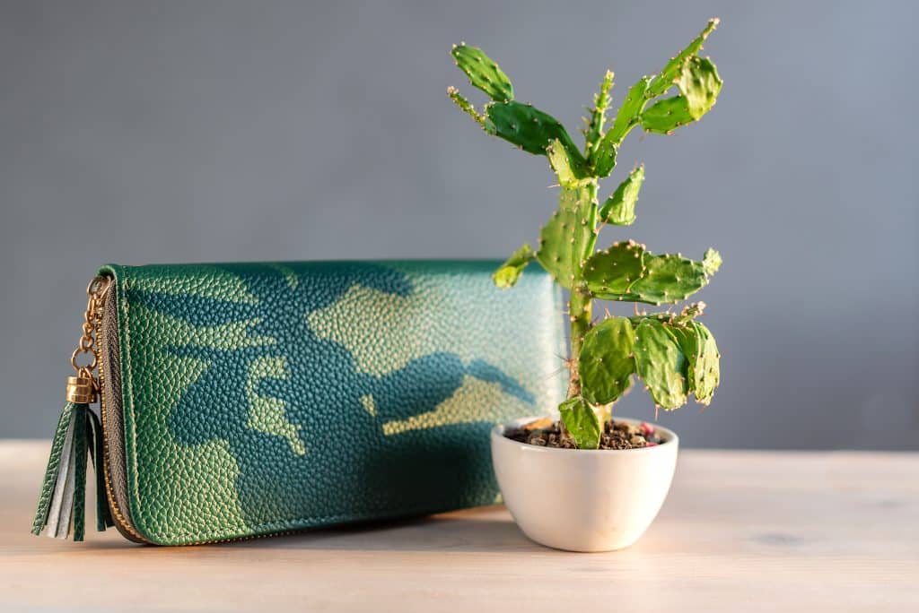 A sustainable vegan leather purse made from cactus leather sitting next to Opuntia Cactus plant